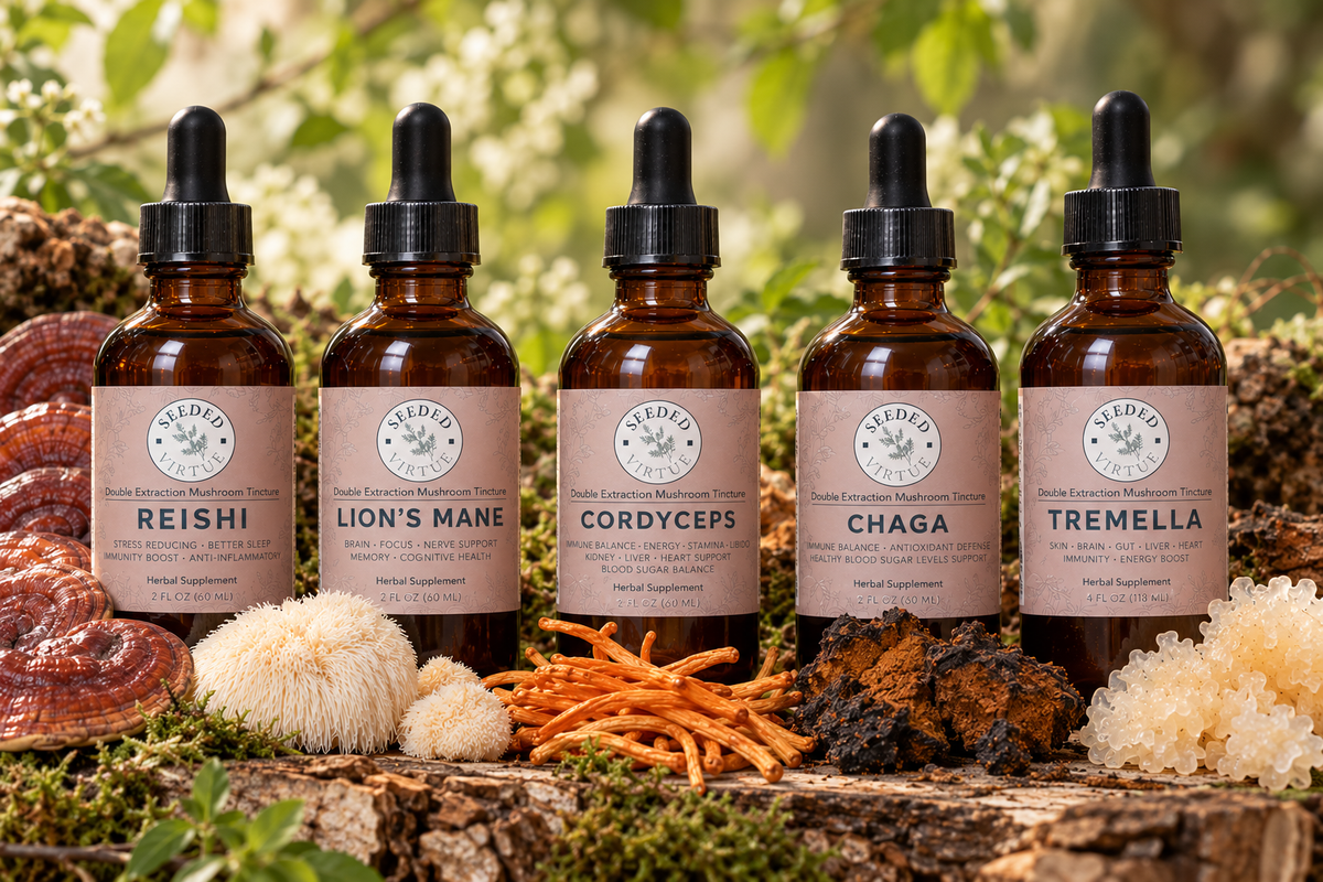 Medicinal Mushroom Tinctures