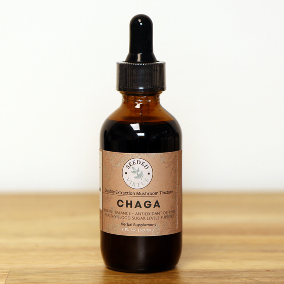 Nalewka z grzyba Chaga o podwójnym ekstrakcie